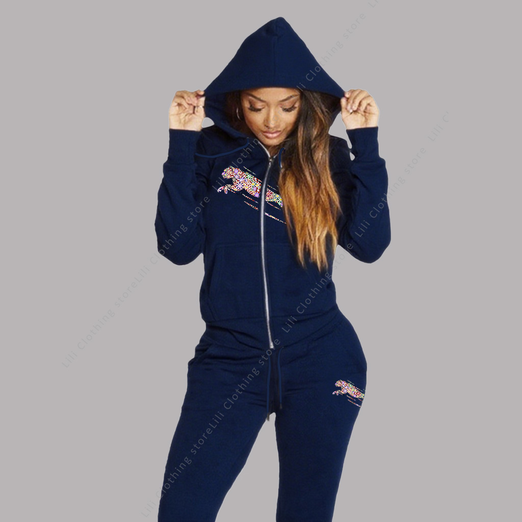Fleece Hoodie Lined - Terno de trilha feminino estético hoodies